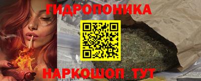 шишки Балашиха
