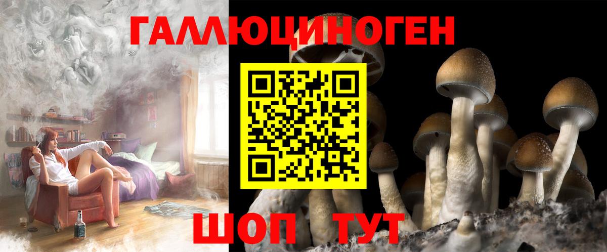 Псилоцибиновые грибы ЛСД  Псилоцибиновые грибы Magic Shrooms  Вход с VPN  Дербент 
